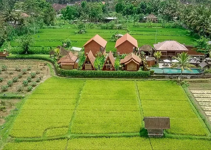 リゾート Alam Kawi Ubud & By Island Escape Tampaksiring