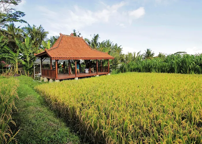 Alam Kawi Ubud & By Island Escape 4*